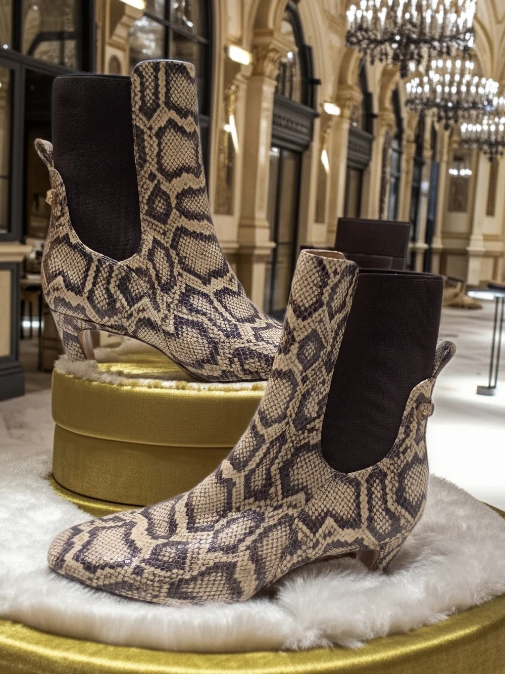 New Sam Edelman Margo Leather Snake-Print Chelsea Ankle Boots in Beige and Black